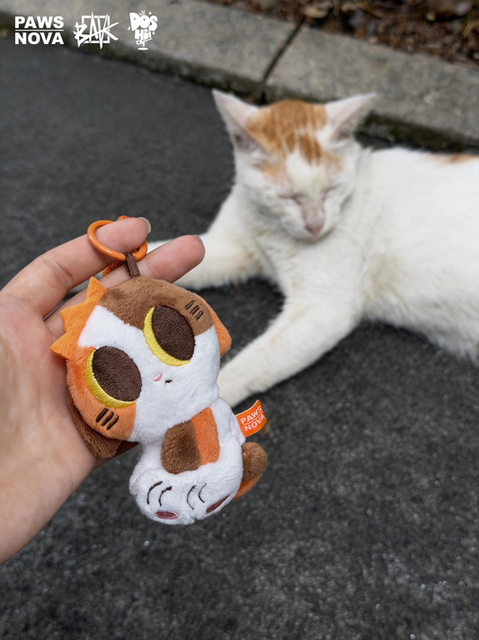 Someone’s Already Claimed DoshiiCat