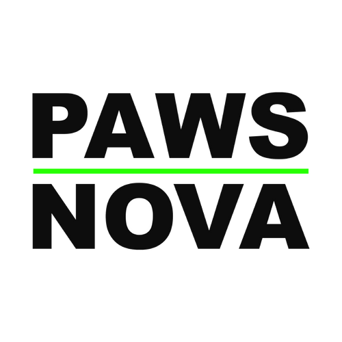 PAWSNOVA Official Store | Designer Toys & Blind Boxes