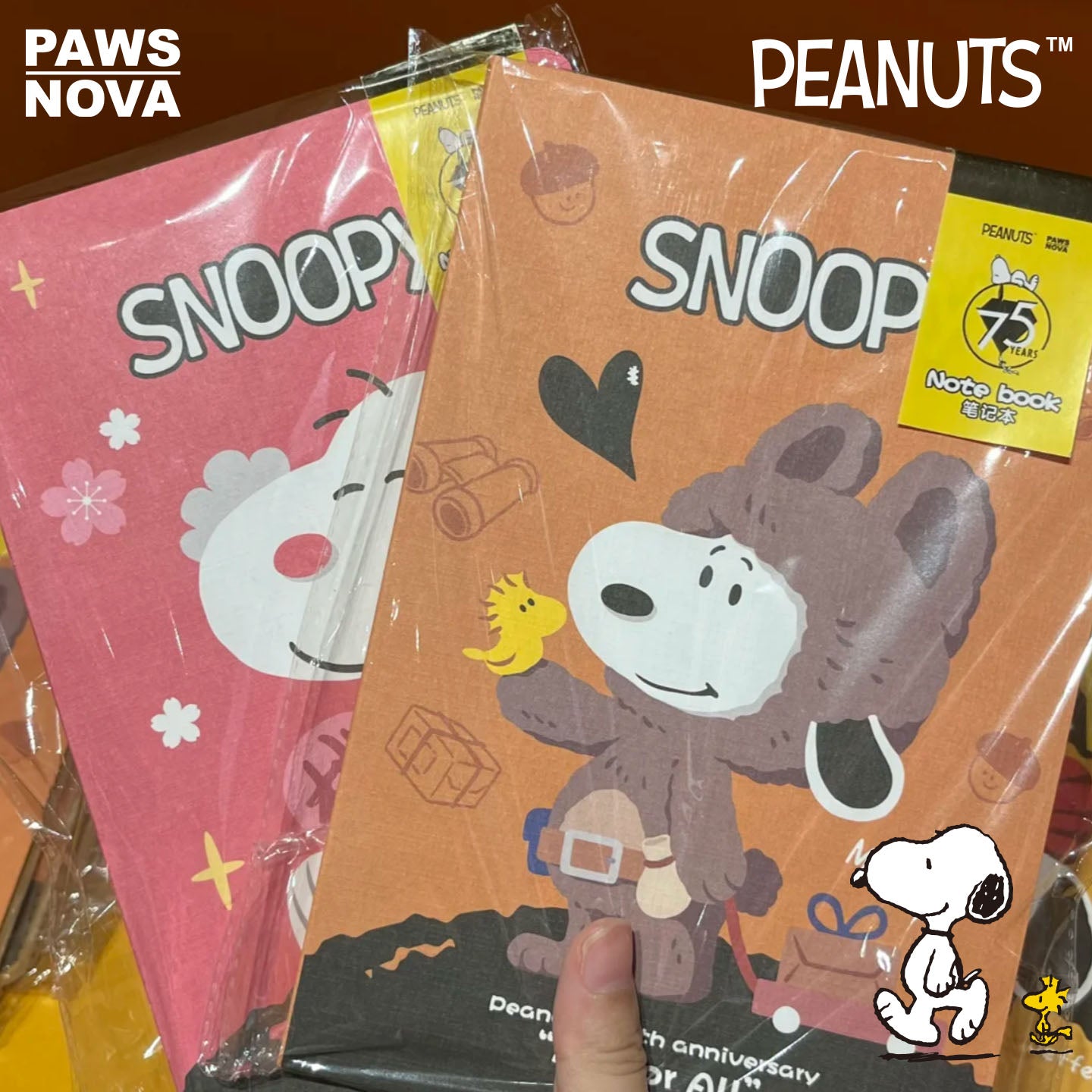 Snoopy 75th Anniversary Artist Edition Blank Notebook