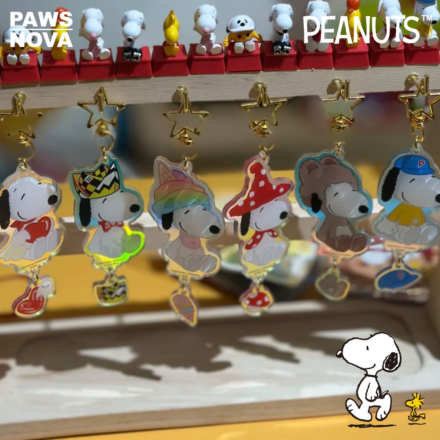 Shop Snoopy at PAWS | PAWS